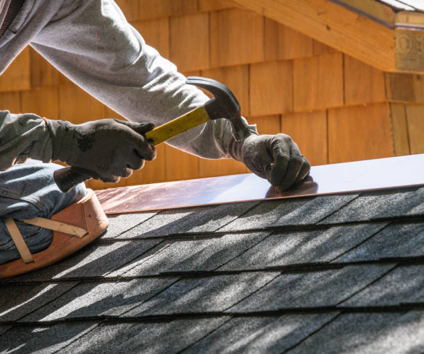 Best Roof Gutter Cleaning  in Caruthersville, MO